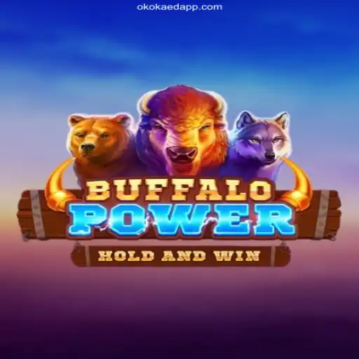 Discover the Thrilling World of BuffaloPower and the OKOKAED Platform
