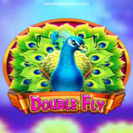 An In-Depth Look at DoubleFly: A Thrilling Adventure in Modern Gaming